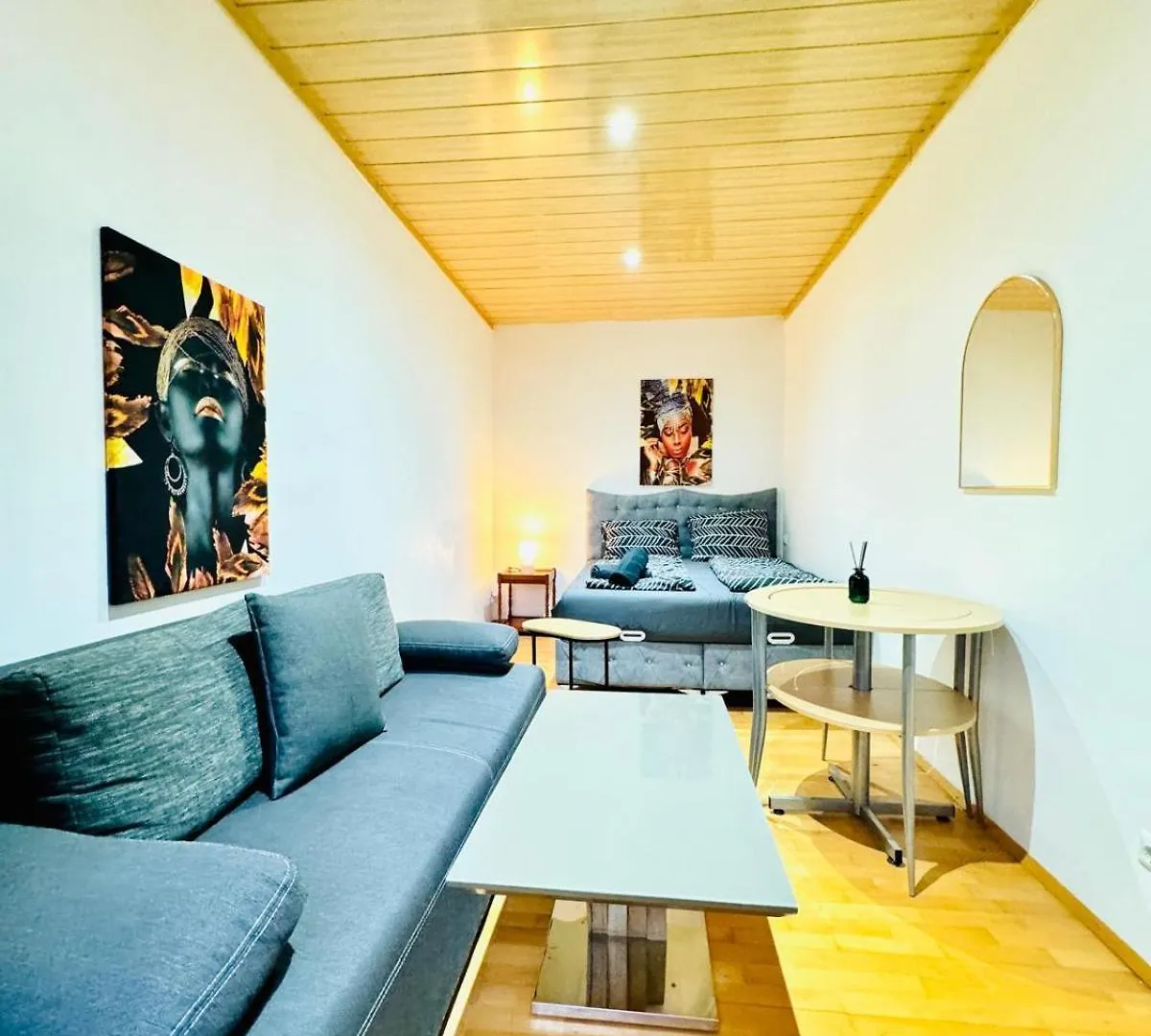 Amazing 4Br Shared Apartment 10 Minute Walk To Fac Platz Viena
